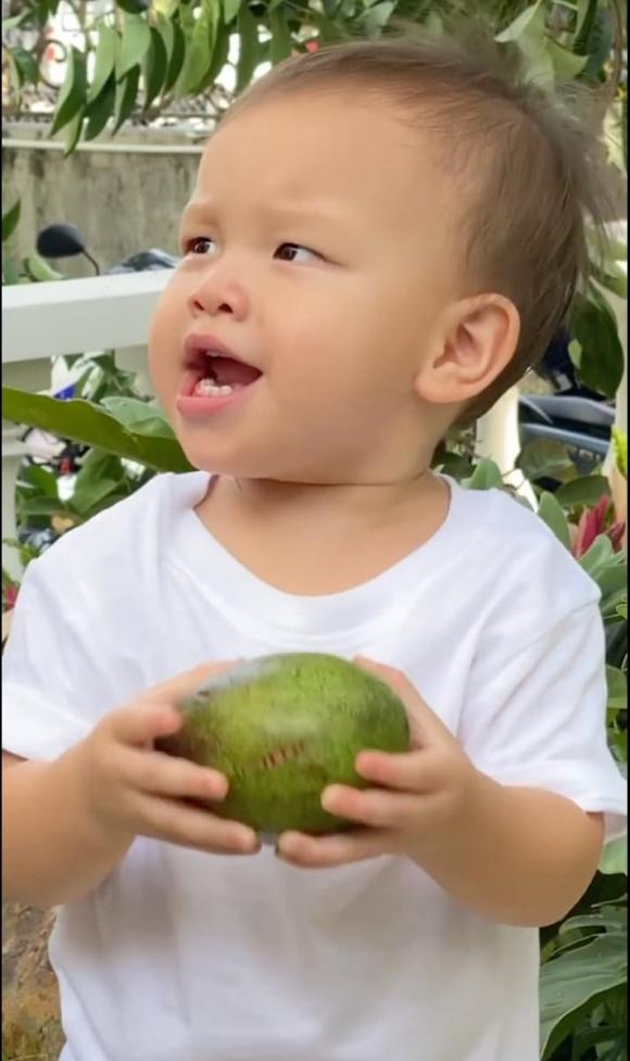 ca sĩ Hồ Ngọc Hà,nữ ca sĩ hồ ngọc hà,diễn viên Kim Lý,cặp sinh đôi của Hà Hồ,sao Việt
