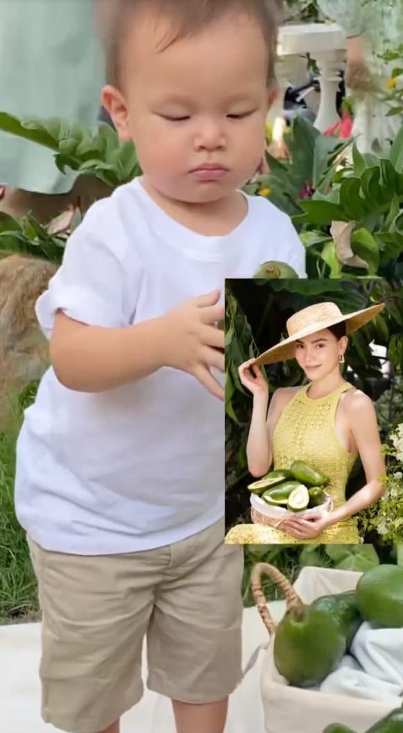 ca sĩ Hồ Ngọc Hà,nữ ca sĩ hồ ngọc hà,diễn viên Kim Lý,cặp sinh đôi của Hà Hồ,sao Việt