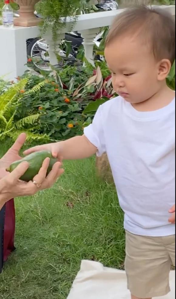 ca sĩ Hồ Ngọc Hà,nữ ca sĩ hồ ngọc hà,diễn viên Kim Lý,cặp sinh đôi của Hà Hồ,sao Việt