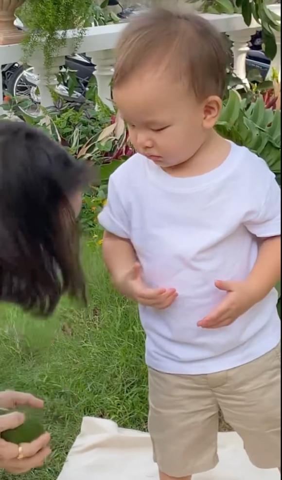 ca sĩ Hồ Ngọc Hà,nữ ca sĩ hồ ngọc hà,diễn viên Kim Lý,cặp sinh đôi của Hà Hồ,sao Việt