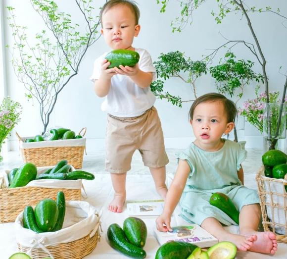 ca sĩ Hồ Ngọc Hà,nữ ca sĩ hồ ngọc hà,diễn viên Kim Lý,cặp sinh đôi của Hà Hồ,sao Việt
