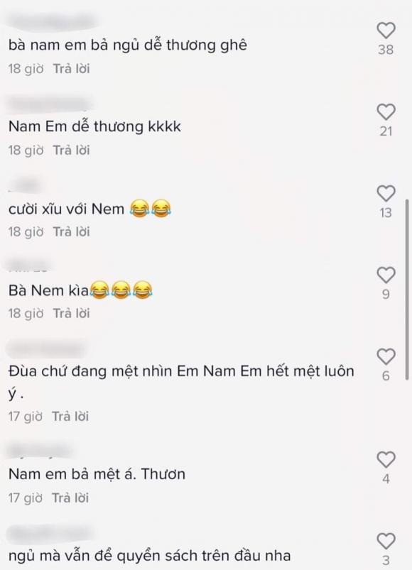 Hoa khôi Nam Em,sao Việt
