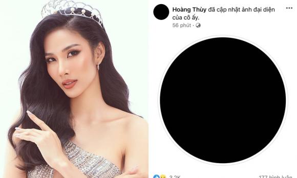 á hậu hoàng thùy, sao việt 
