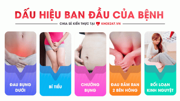 u nang buồng trứng, sức khỏe phụ nữ, chăm sóc sức khỏe, thuốc trị u nang buồng trứng