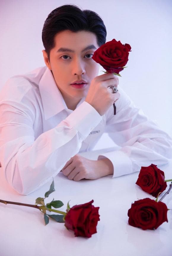 noo phước thịnh, sao việt 