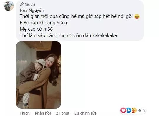ca sĩ Hòa Minzy, sao Việt