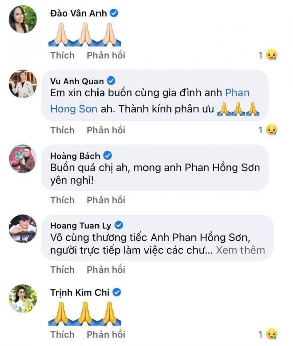 nhạc sĩ Phạm Hồng Sơn, sao Việt