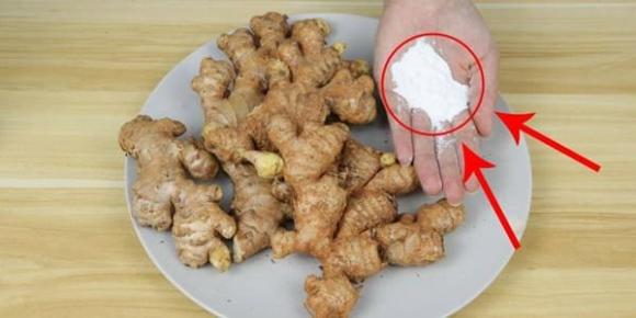 gừng, bảo quản gừng, bảo quản thực phẩm