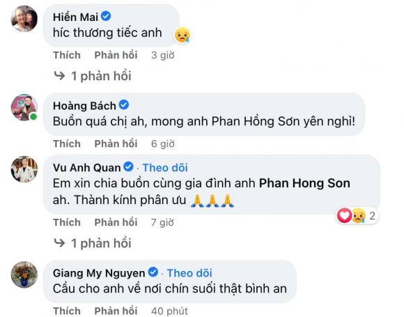 nhạc sĩ Phạm Hồng Sơn, sao Việt