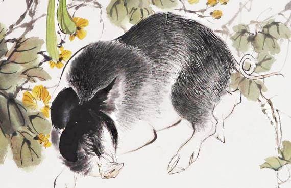 tử vi, con giáp, tháng 4