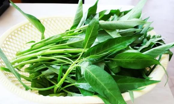 Bài học cuộc sống, hội chứng người cá, bệnh hiếm gặp