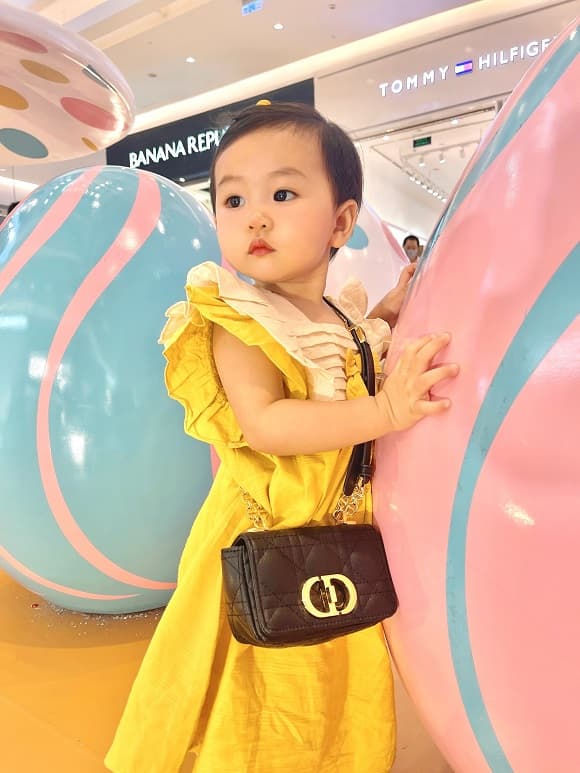 Hoa Hậu Nguyễn Cao Kim Anh, Hoa Hậu Doanh Nhân, sao việt