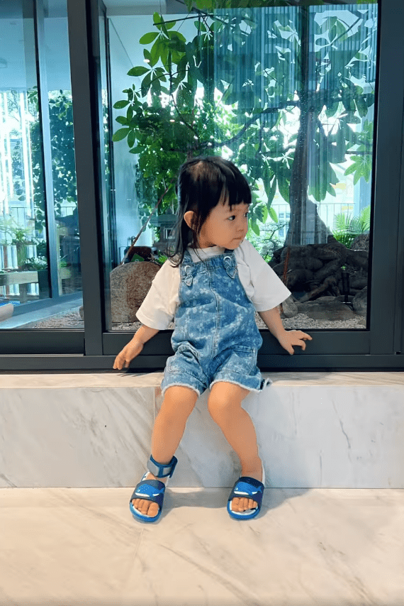 suchin, doanh nhân cường đô la, đàm thu trang, sao việt
