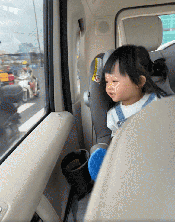 suchin, doanh nhân cường đô la, đàm thu trang, sao việt