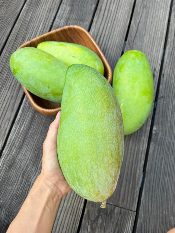 Tin sao việt,tin sao việt mới nhất,tin sao việt hot nhất,tin sao việt tháng 5