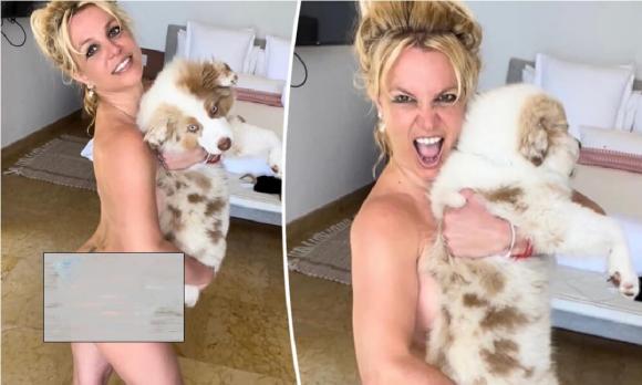 Britney Spears kết hôn, công chúa nhạc pop , sao âu mỹ, Britney Spears mang bầu