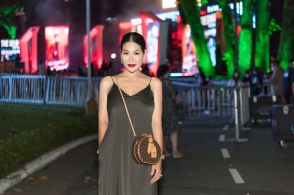 Hoa khôi Hương Hoàng, Đàm Vĩnh Hưng, sao việt