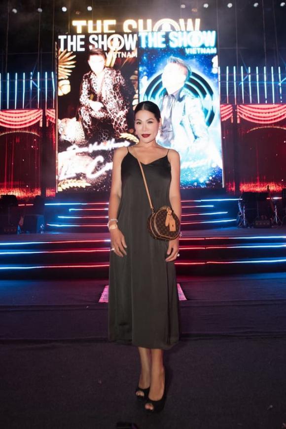 Hoa khôi Hương Hoàng, Đàm Vĩnh Hưng, sao việt