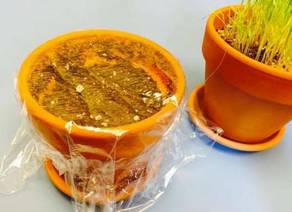 màng bọc thực phẩm, công dụng màng bọc thực phẩm, kiến thức 