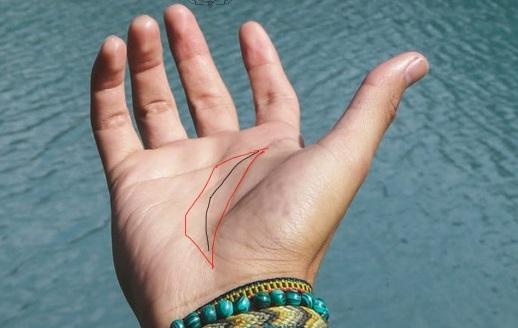 tử vi, tử vi lòng bàn tay, tướng số