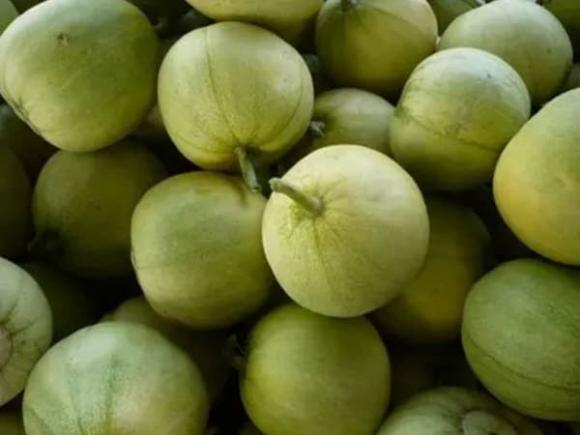 quả dưa, cách chọn dưa, cách chọn dưa ngon