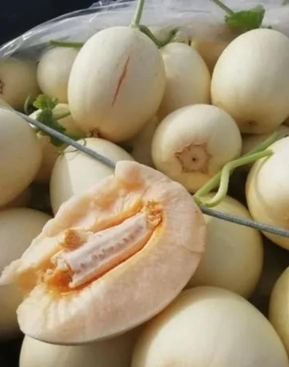 quả dưa, cách chọn dưa, cách chọn dưa ngon
