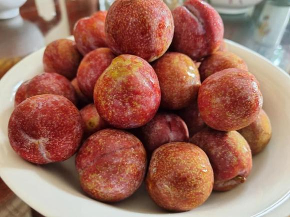 ô mai mận, cách làm ô mai mận, quả mận