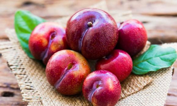 quả mận, mẹo chọn mận ngon, mùa mận
