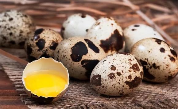 trứng, trừng gà, trứng vịt, trứng ngỗng, trứng cút