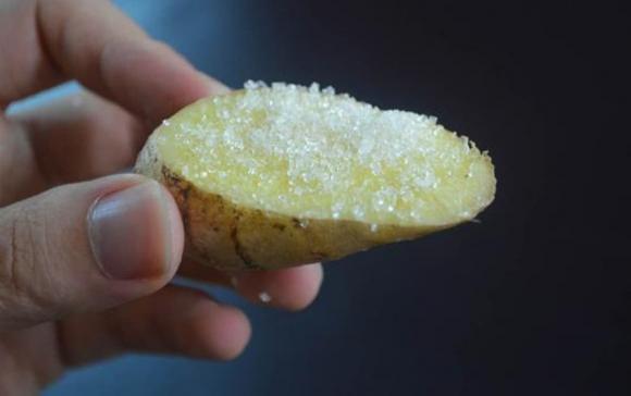 gừng, gừng già, gừng non, chọn mua gừng, các chọn gừng