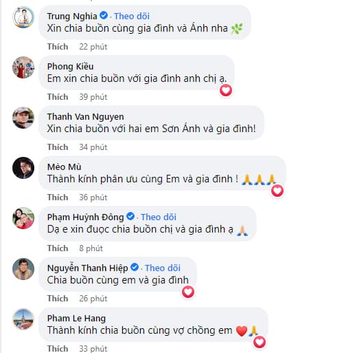 Diễn viên hồng ánh,mẹ diễn viên hồng ánh qua đời,sao việt
