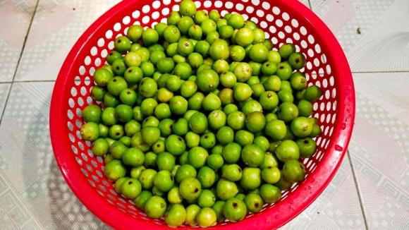 dưa sung, muối dưa sung, món ngon 