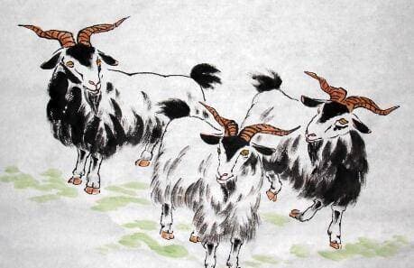 tử vi, con giáp, tháng 6
