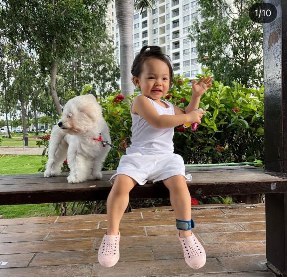 suchin, cường đô la, đàm thu trang, sao việt 