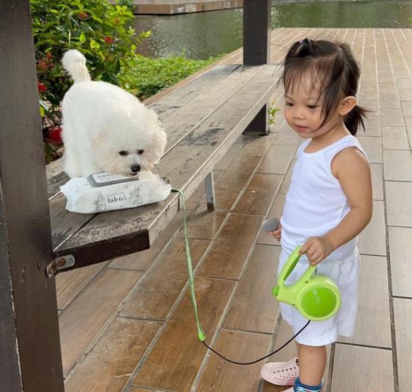 suchin, cường đô la, đàm thu trang, sao việt 
