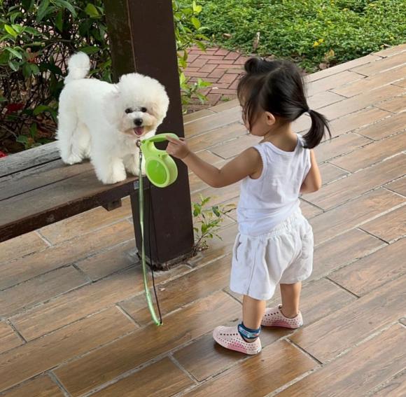 suchin, cường đô la, đàm thu trang, sao việt 