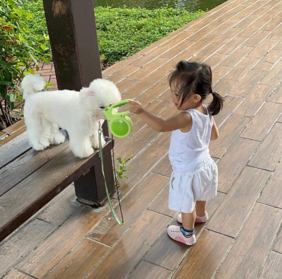 suchin, cường đô la, đàm thu trang, sao việt 