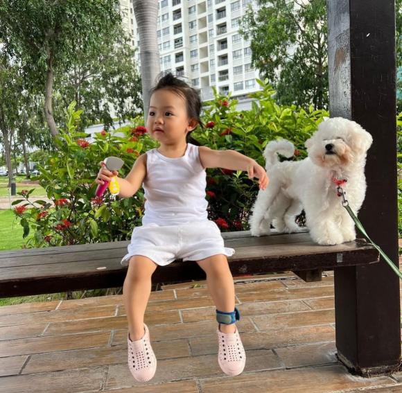 suchin, cường đô la, đàm thu trang, sao việt 