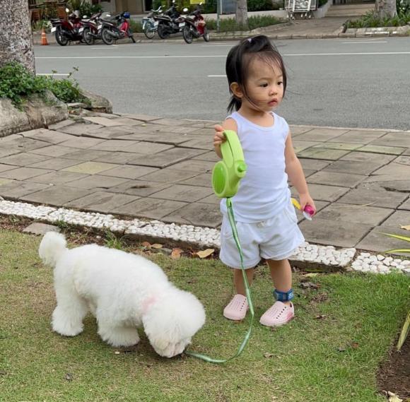 suchin, cường đô la, đàm thu trang, sao việt 