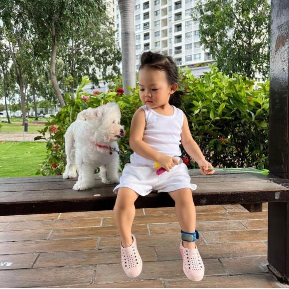 suchin, cường đô la, đàm thu trang, sao việt 