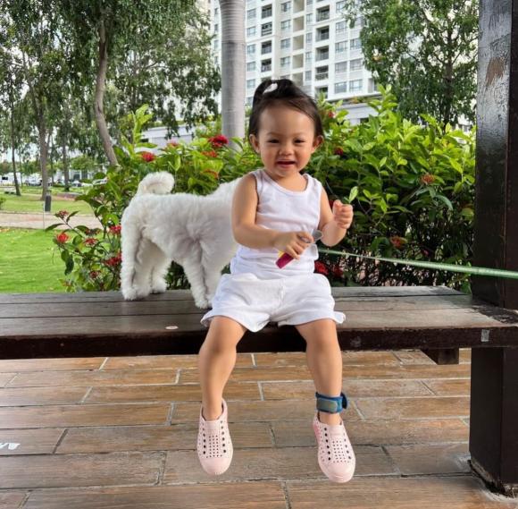 suchin, cường đô la, đàm thu trang, sao việt 