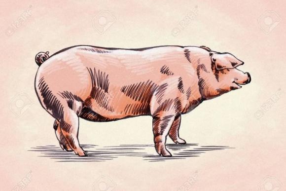 tử vi 12 con giáp, tử vi năm 2022, con giáp may mắn