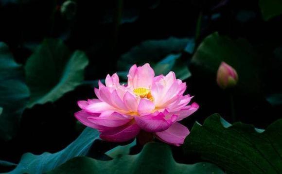 người xấu, nhìn người qua hành động, phán đoán người xấu