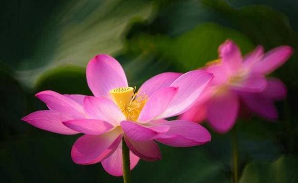 người xấu, nhìn người qua hành động, phán đoán người xấu
