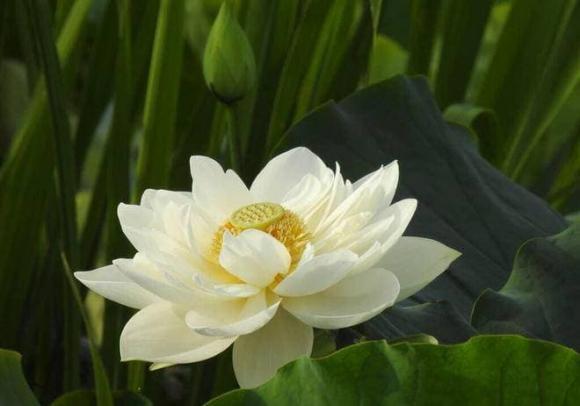 người xấu, nhìn người qua hành động, phán đoán người xấu