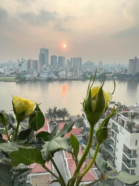 Lý Thanh Thảo, nhà Lý Thanh Thảo, khu vườn Lý Thanh Thảo, nhà sao 