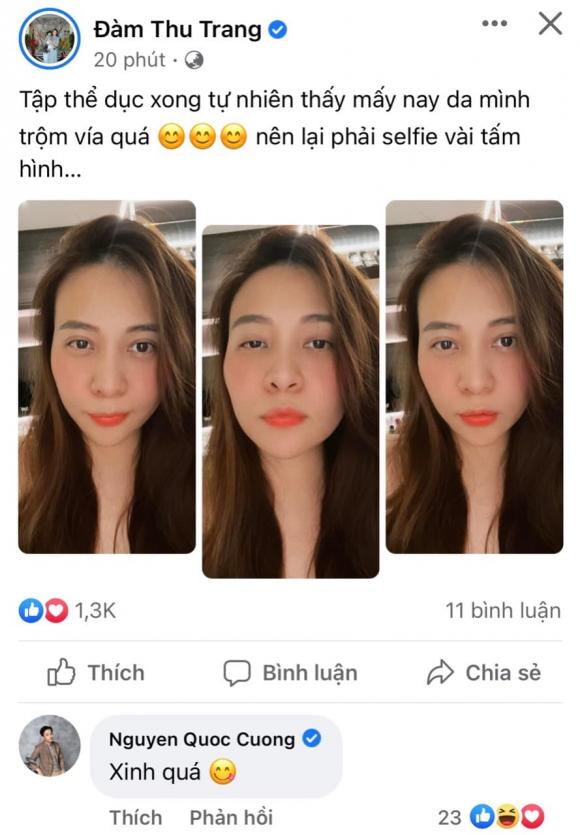 cường đô la, đàm thu trang, sao việt, suchin