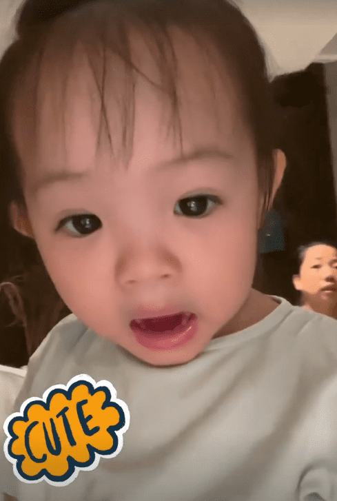 suchin, cường đô la, đàm thu trang, sao việt