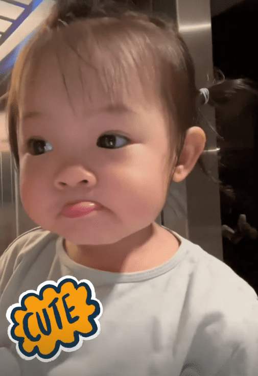 suchin, cường đô la, đàm thu trang, sao việt