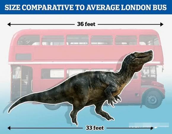 Spinosaurus, khủng long, hóa thạch, khám phá khoa học